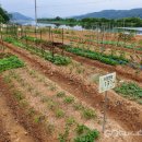 도담농장 이미지