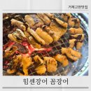 힘센장어.꼼장어