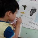 해피콤어린이집 이미지