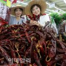 해리농협 하나로마트 이미지