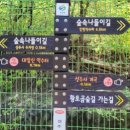 성주사 회귀형 숲길 이미지