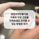 자연주의치아사랑