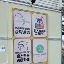 프리미어아레나승마클럽 | 🏇원주 아이랑 가볼만한곳｜홀스앤독 후기 (승마&amp;먹이체험 가능! 다만 아이가 무서워 해서 모래놀이만😂)