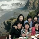 사근달 Daum카페