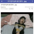윤가 마루 이미지