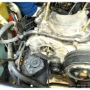 대한부란자 이미지