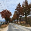사직리축구장 네이버블로그