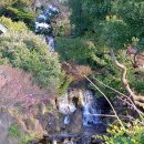 제주한우리 이미지