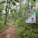 구례포해수욕장(중앙) 이미지