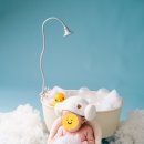 꽃보라미용실 | [성장앨범 100일 촬영] 강동구 꽃보라 사진관 후기