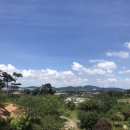 웨스트메도우 이미지