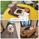 을지 휘트니스 | 춘천 명동 안마의자가 있는 신상 디저트 카페 요선동 바디블룸피트니스카페