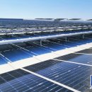 녹산 태양광발전소 이미지