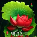 연꽃의 10가지 특징 이미지