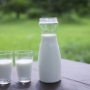 삼마네개냥이 이미지