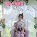 쁘띠독애견펜션 이미지