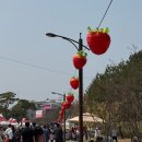 GS25 논산시민점 | 논산딸기축제 먹거리 후기 위치 성심당 딸기튀소 오모찌 딸기비빔밥