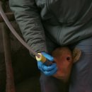 송아목장 이미지