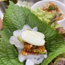 용궁회나라