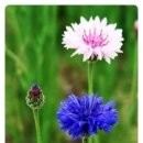 이수 행정사사무소 이미지