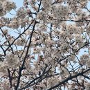 까치공원 이미지