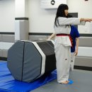 서린5태권도장 이미지