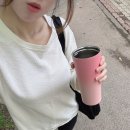 핑크이즈