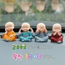 왕대포 - 고양시 덕양구 | 왕대포