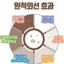 헤이점핑