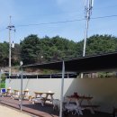 호반애견훈련소 이미지