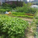 평남농장 이미지