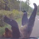 아랑고고장구 이미지