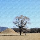 경주 교촌마을~금곡사계곡~ 부산 오랑대&amp;기장 죽성리여행(3.1절연휴) 이미지