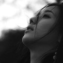 바람이 머무는 곳 이미지