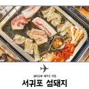 섬돼지