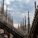 그라치에 이미지