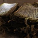 심원권 일기 이미지