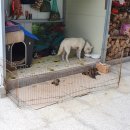 지리산힐링타운 이미지