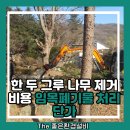 두그루나무 | 한 두 그루 나무 제거 비용 임목폐기물 처리 단가