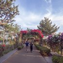 대교공원 체험관광센터 이미지