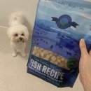 안양유지사료 | 【강아지 동결건조 사료】 셰퍼드보이팜즈 피쉬메들리, 식이 알러지 강아지 생선 사료 추천