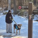 어화댕댕 이미지