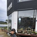 화담숲 식물카페 카페엘림에서 아이와 다육아트 체험 후기