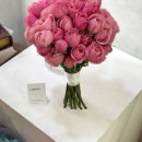 카라flower | 웨딩 촬영 가성비 생화 부케 추천 Todays Flower 내돈내산 후기