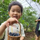 비당농장 이미지