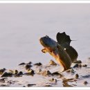 검산경로당 이미지