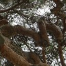 상주 김준신의사 제단비 이미지