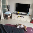 너만멍냥 이미지