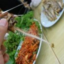 원조벤댕이