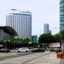 연꽃 | 삼성동 봉은사 연꽃축제 솔직후기-수산물전문가 꼼꼼후기